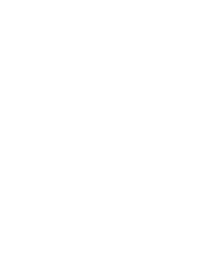 RapidHarness